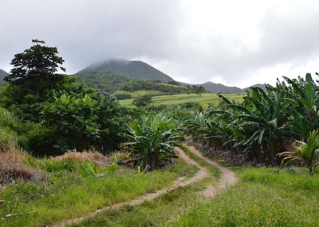 Saint Kitts and Nevis Holidays 2025 & 2026 - Tailor-Made from Audley