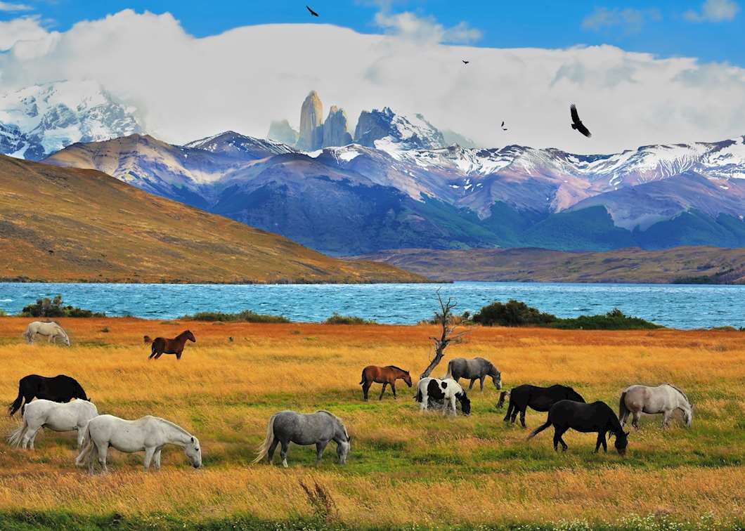 Visit Torres del Paine National Park, Chile | Audley Travel US