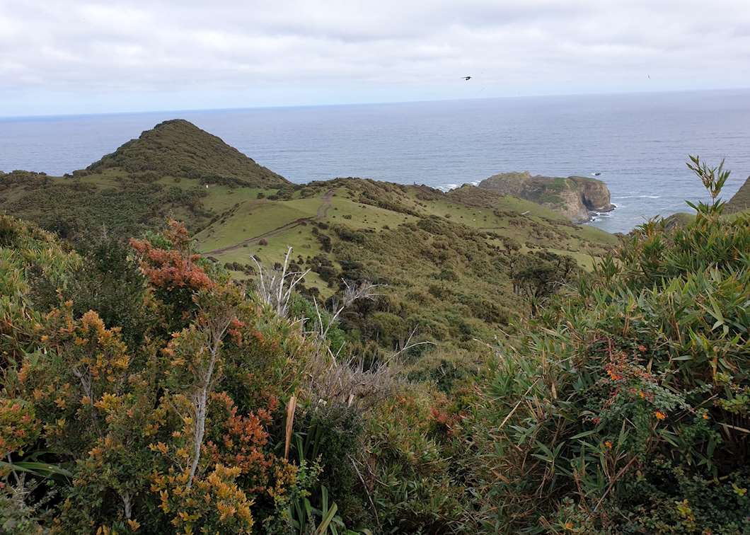 Visit Chiloé Island on a trip to Chile Audley Travel UK