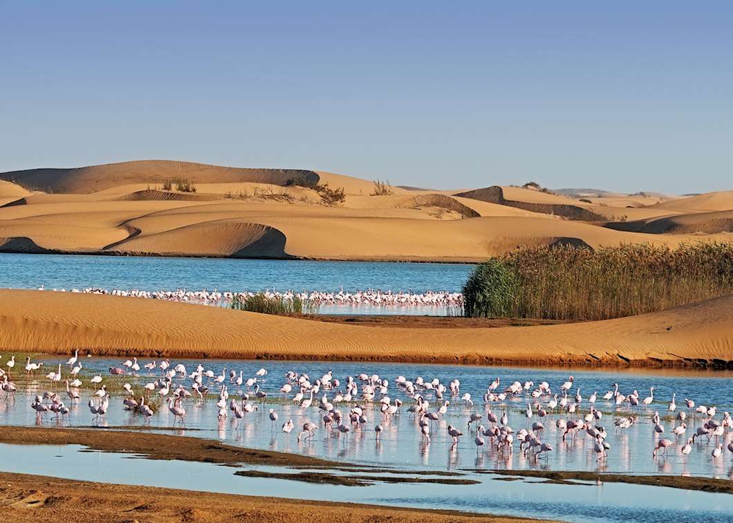 Namibia Vacations and Safaris 2025 & 2026 | Audley Travel US