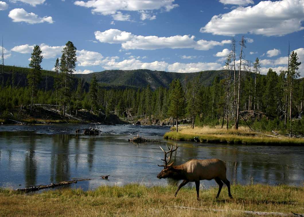 Visit Yellowstone National Park, The USA | Audley Travel UK