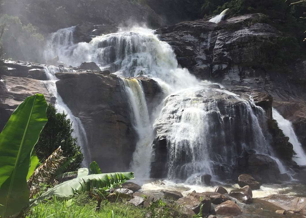 Ranomafana National Park, Madagascar | Audley Travel US