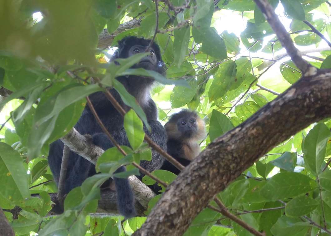 Visit Bali Barat National Park, Indonesia | Audley Travel UK