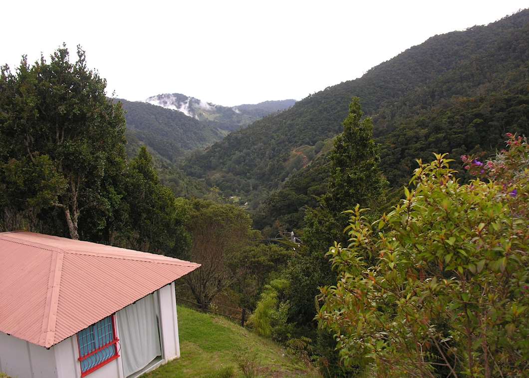 Dantica Cloud Forest Lodge Audley Travel Uk 