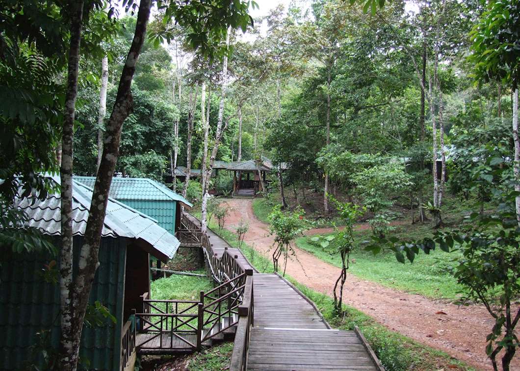 Tabin Wildlife Resort | Audley Travel UK