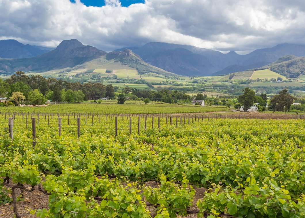 Visit Franschhoek, South Africa | Tailor-made Trips | Audley Travel UK