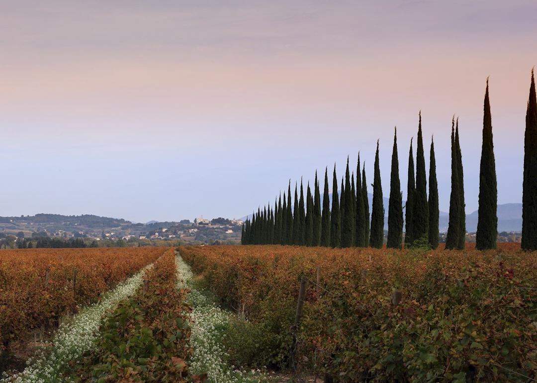 Châteauneuf-du-Pape, Provence