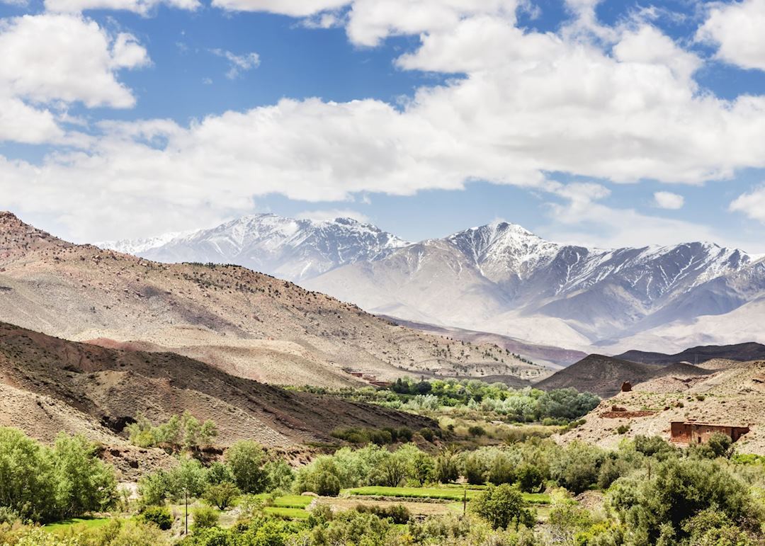 Errachidia Oasis, High Atlas Mountains