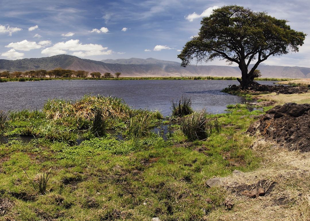 Views in the Ngorongoro Crater