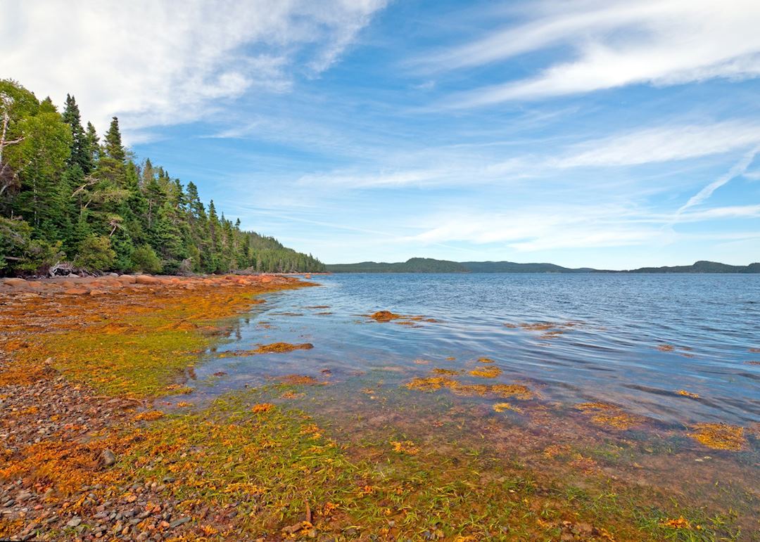 Terra Nova National Park, Newfoundland