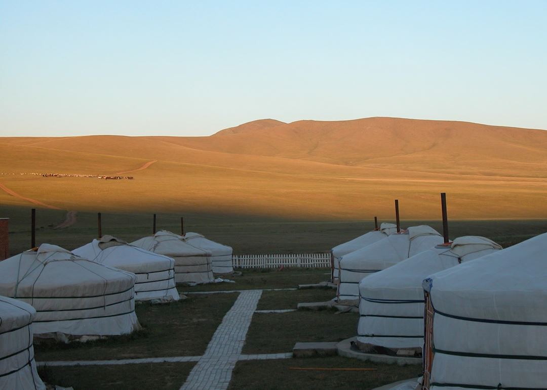 Khustai Nuruu National Park, Mongolia