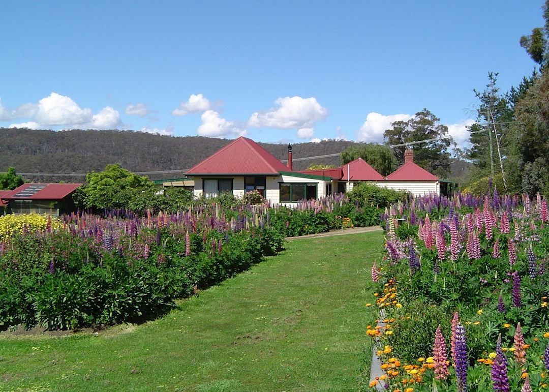 Hamlet Downs B&B, Mount Field National Park