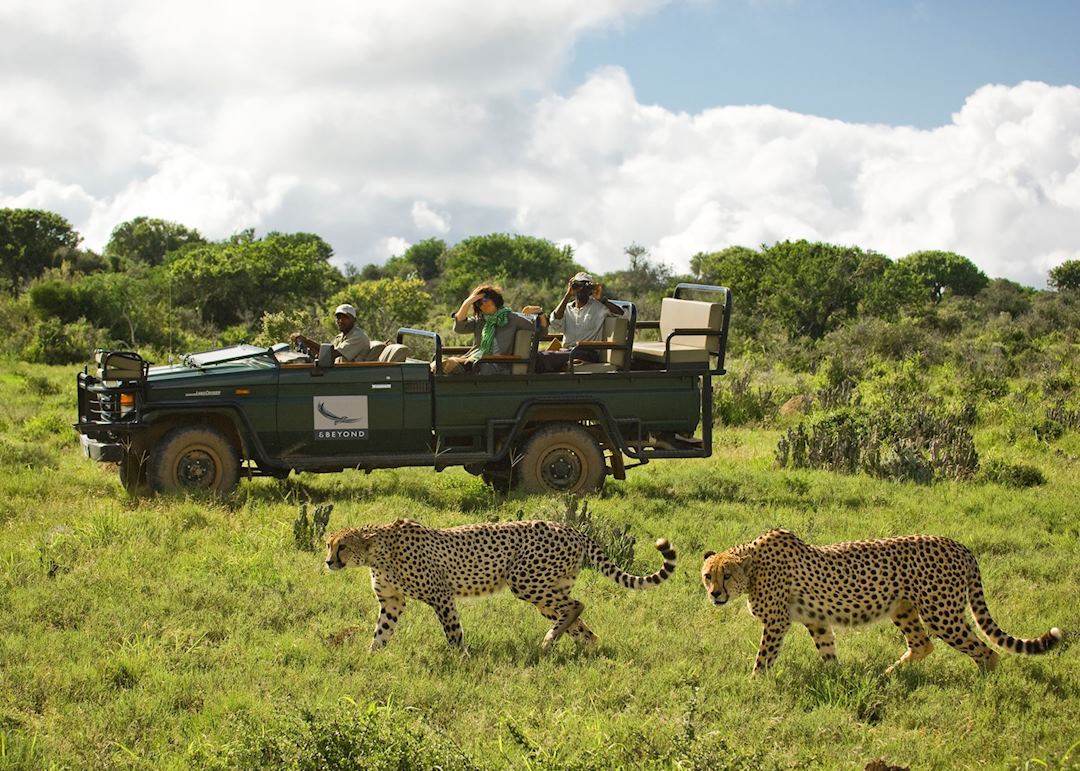 Kwandwe Game Reserve, South Africa | Tailor-made Trips | Audley Travel UK