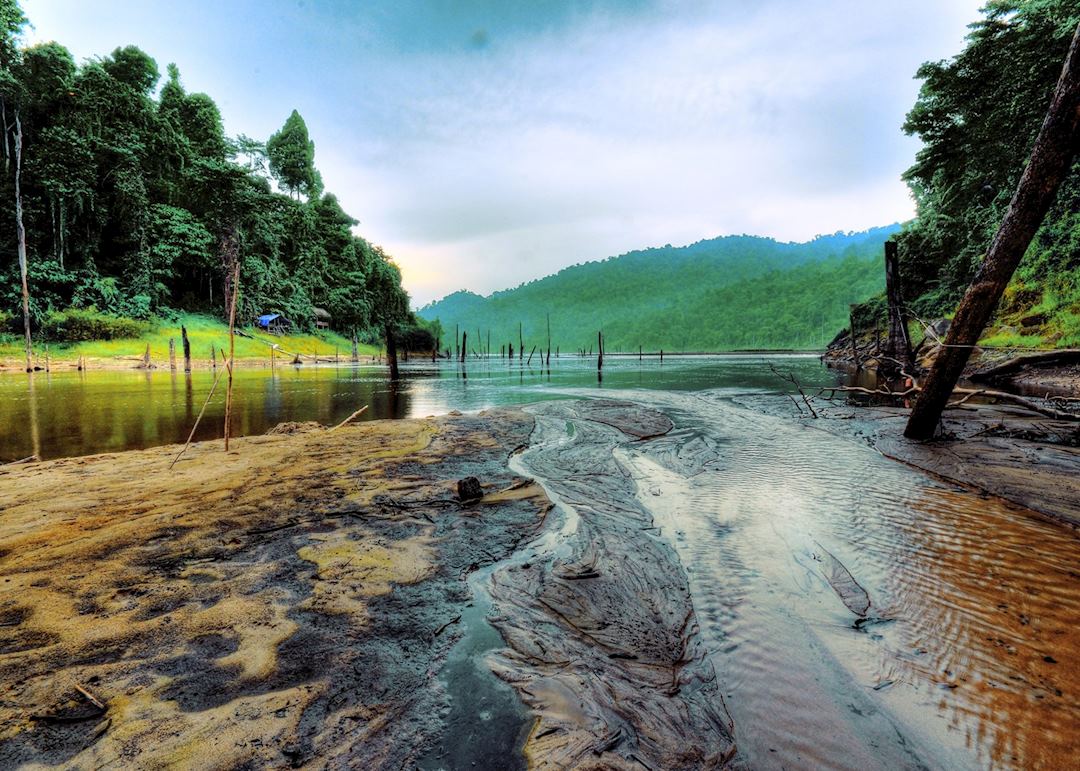 Belum Rainforest,Malaysia