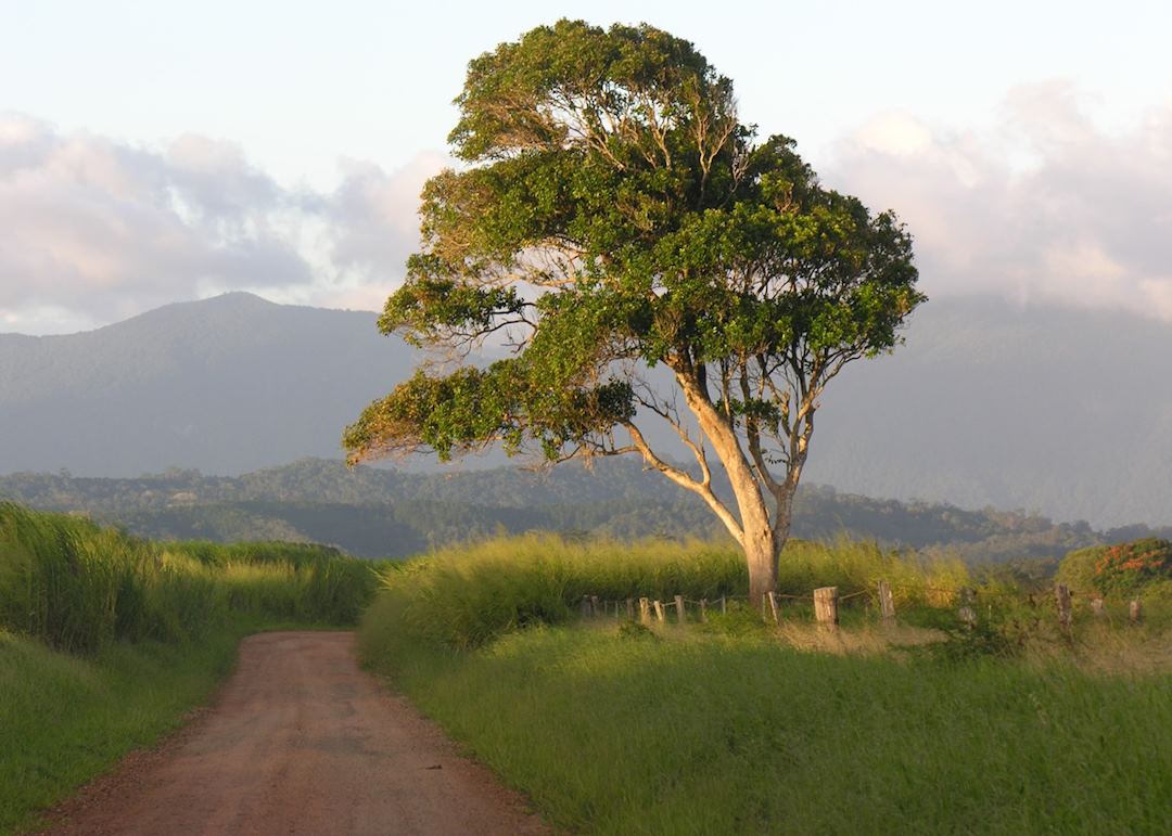 Atherton Tablelands, Australia
