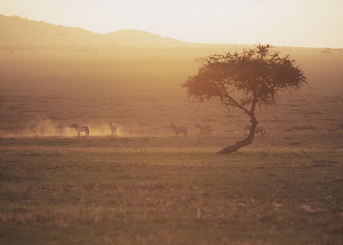 Serengeti National Park, Tanzania Serengeti National Park, Tanzania
