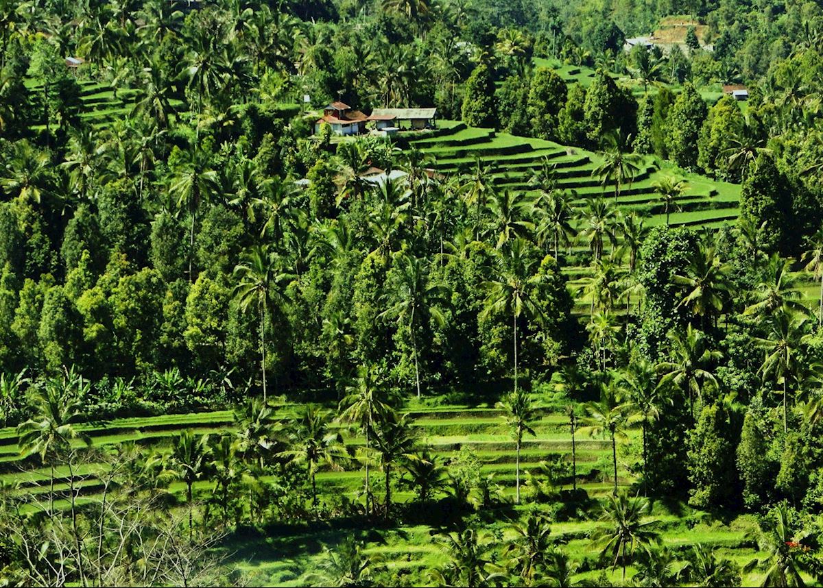 Munduk, Indonesia Munduk, Indonesia