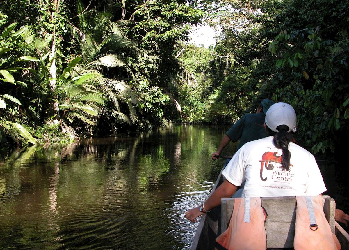 Canoe trip to Napo Wildlife Centre, Ecuador