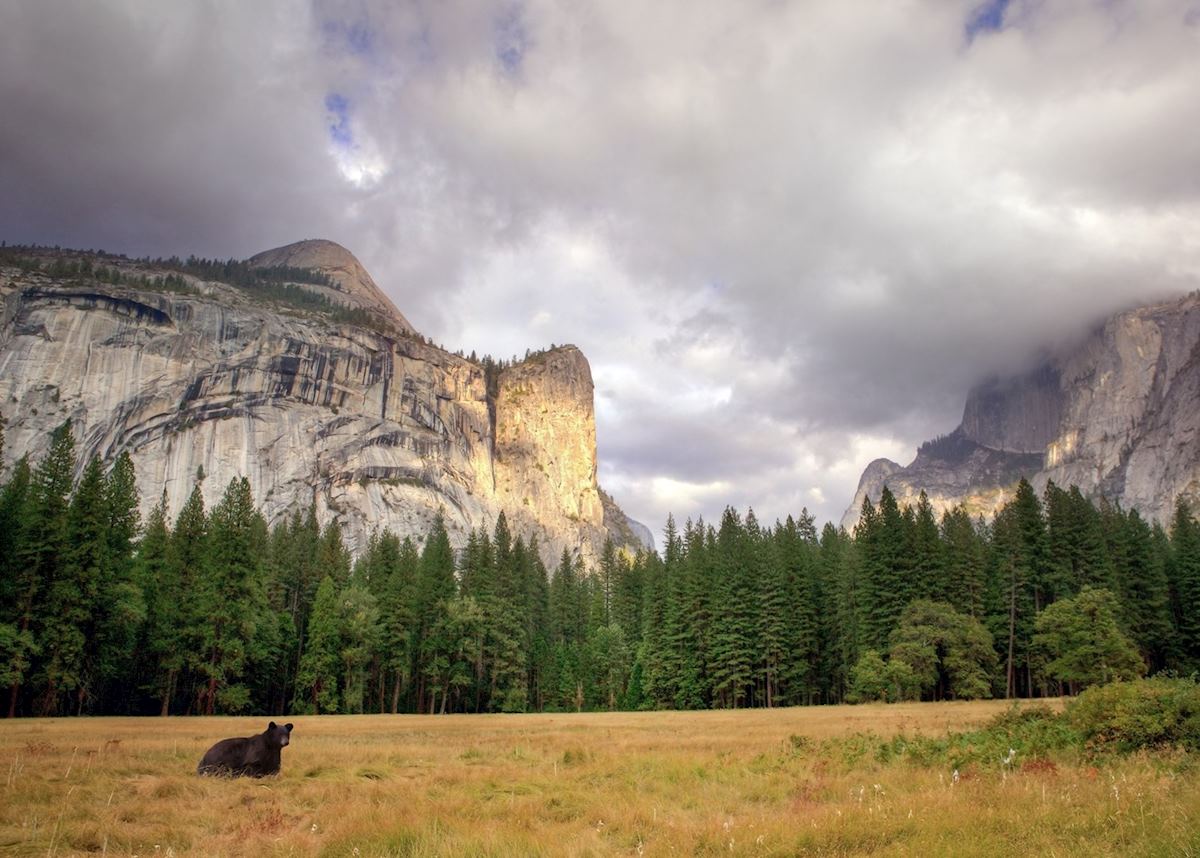 Yosemite National Park, Yosemite National Park Yosemite National Park, Yosemite National Park
