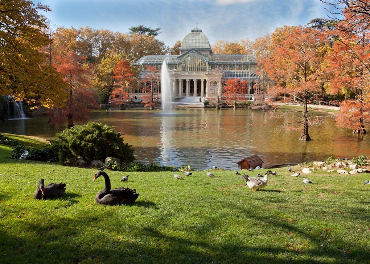 El Retiro Park, Madrid