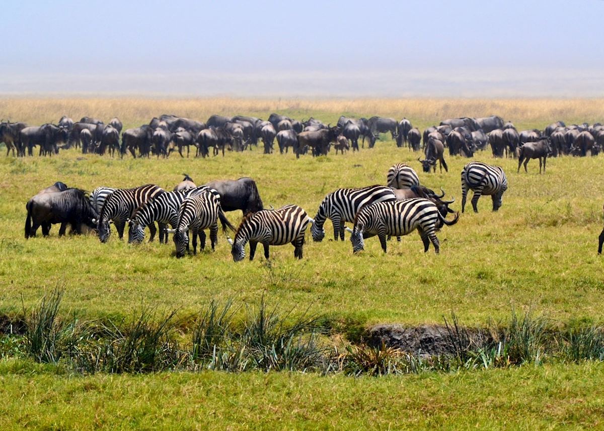 Ngorongoro Conservation Area, Tanzania