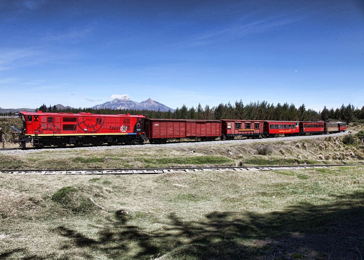 Tren Crucero, Ecuador