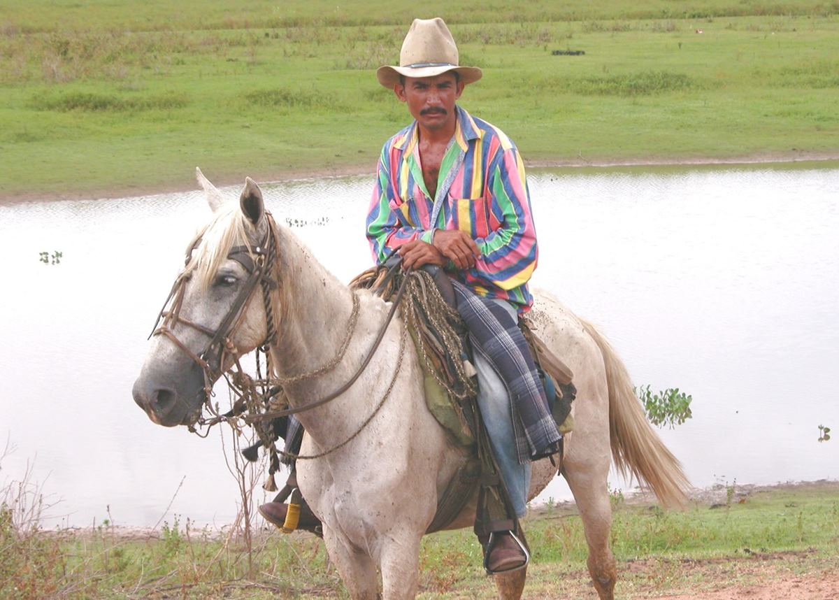Llanero cowboy, Los Llanos