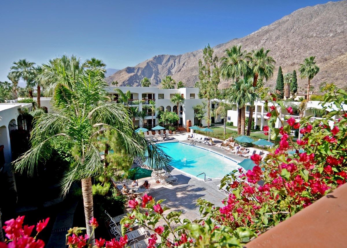 Palm springs hotels saguaro hotel spring places most party do gay california pride things colourful instagrammable revealed bachelorette hip insta