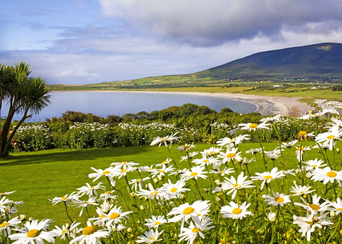 The Dingle Peninsula The Dingle Peninsula