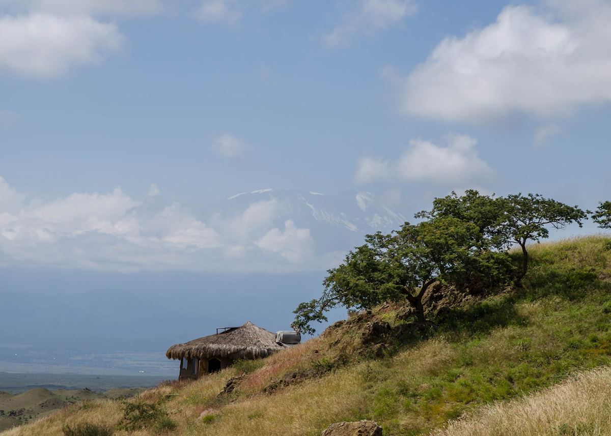 Kilimanjaro looms in the distance Kilimanjaro looms in the distance