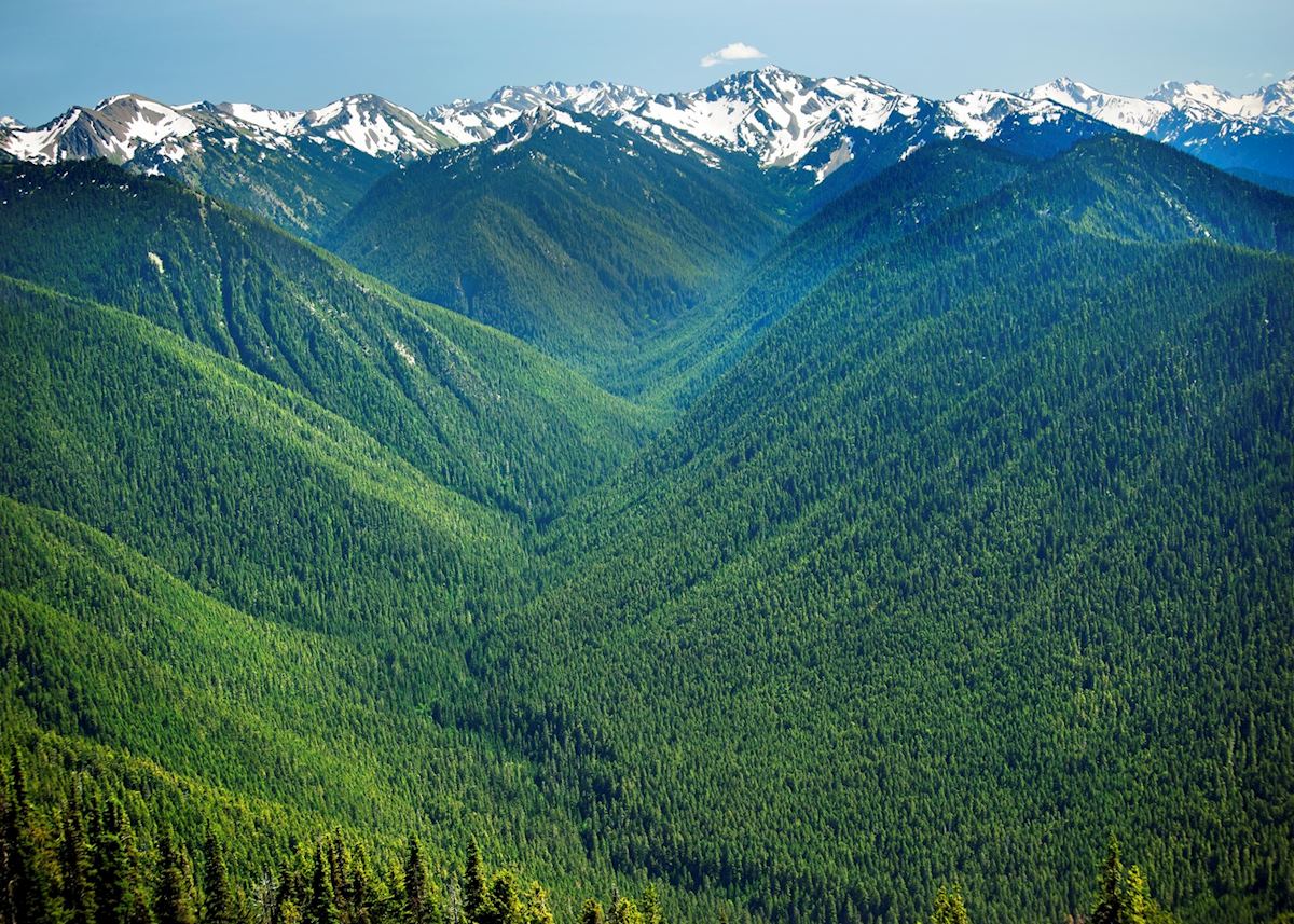 Hurricane Ridge Olympic National Park Hurricane Ridge Olympic National Park