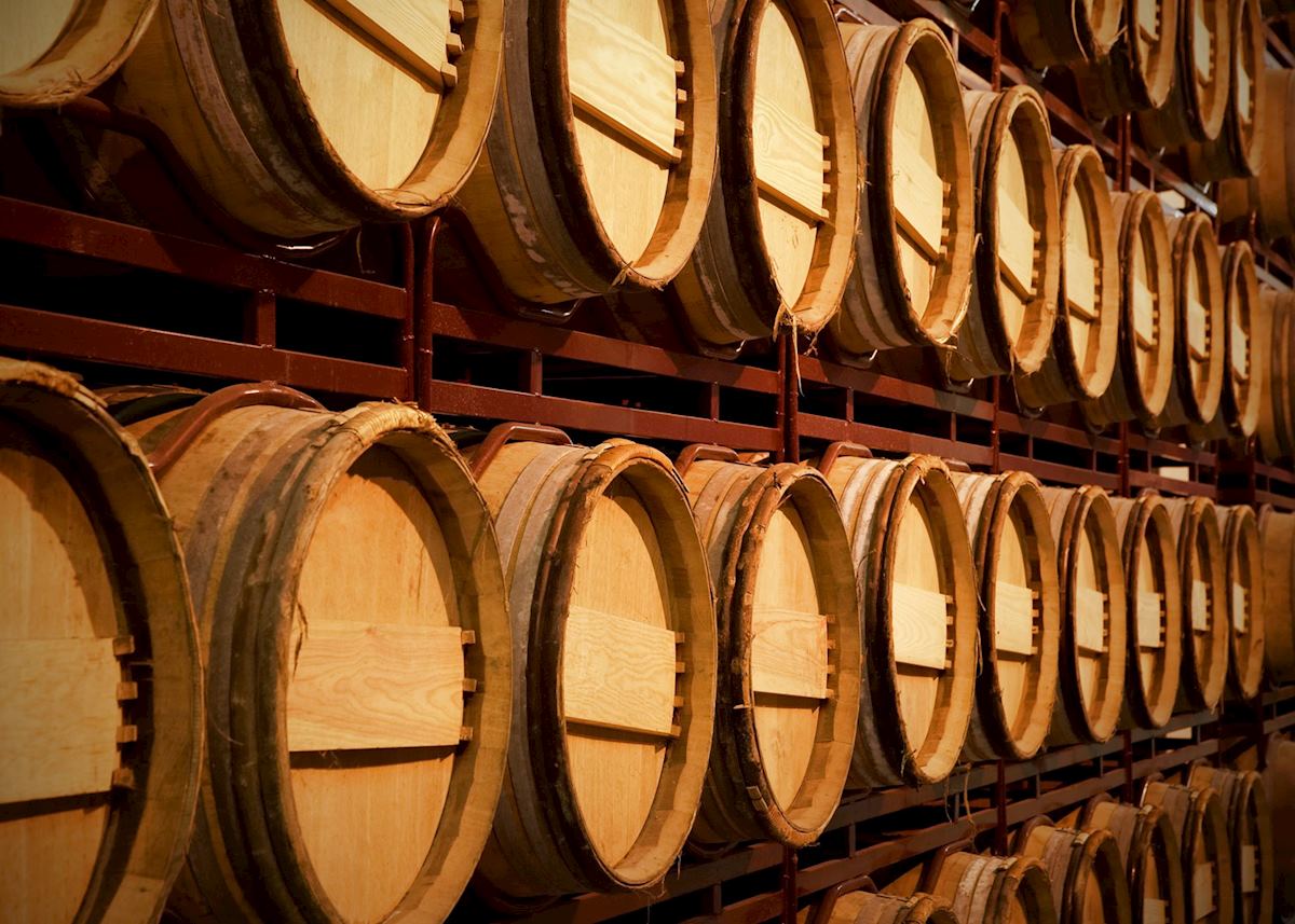 Wine cellar, La Rioja Wine cellar, La Rioja