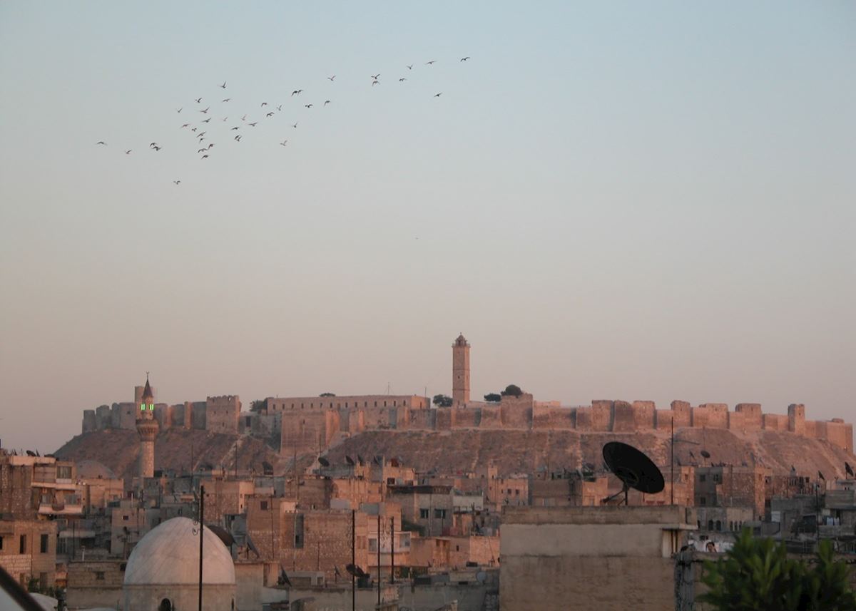 The Rooftops Of Old Aleppo And The Citadel The Rooftops Of Old Aleppo And The Citadel