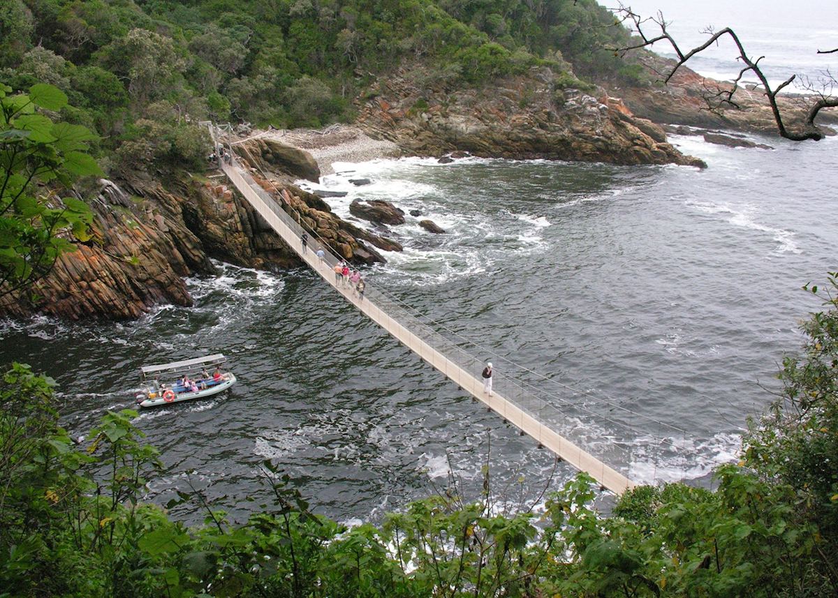 Tsitsikamma Forest Tsitsikamma Forest