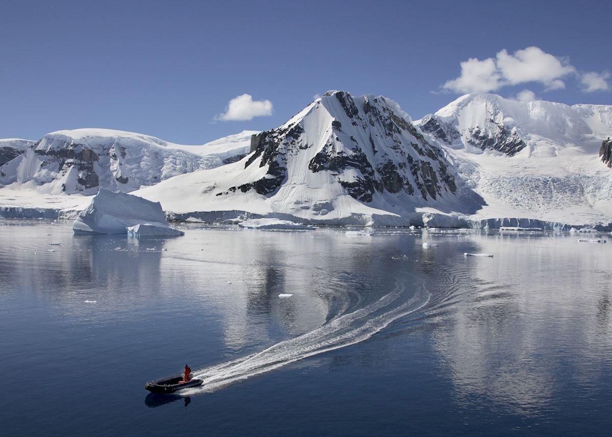 Antarctica Antarctica