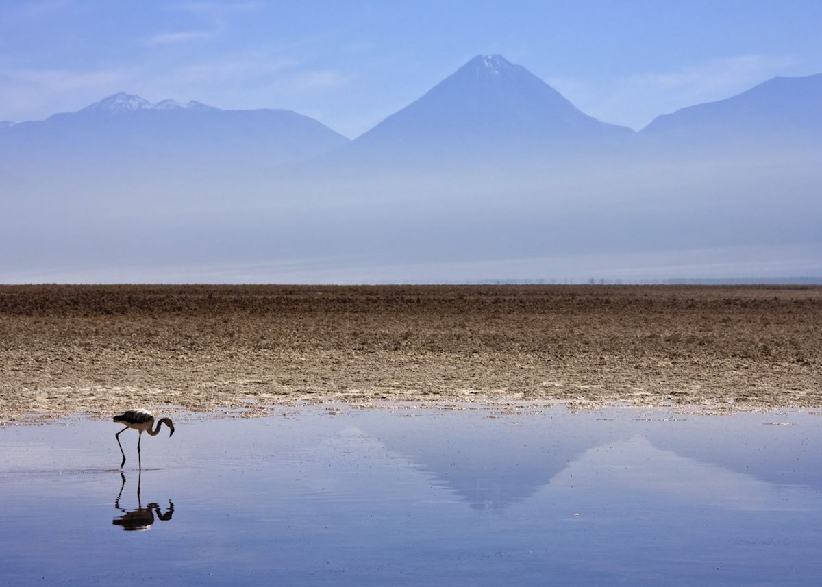 The Atacama, Chile The Atacama, Chile