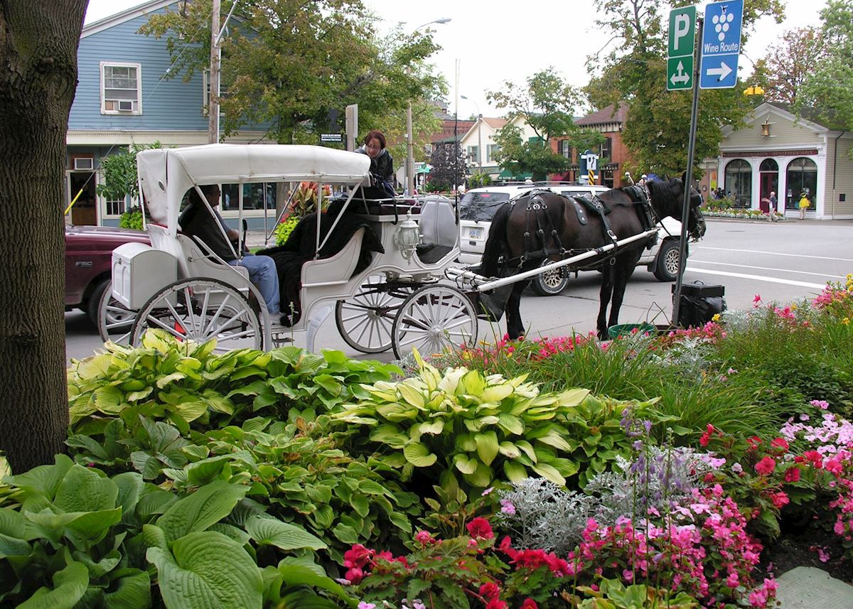 Horse-drawn carriage rides in Niagara on the Lake Horse-drawn carriage rides in Niagara on the Lake