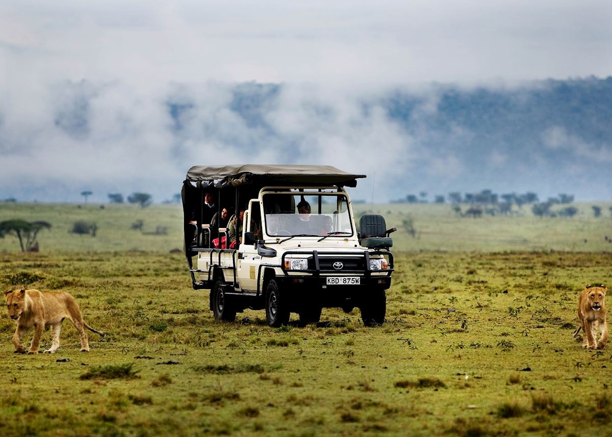 Game drive from Karen Blixen Camp Game drive from Karen Blixen Camp