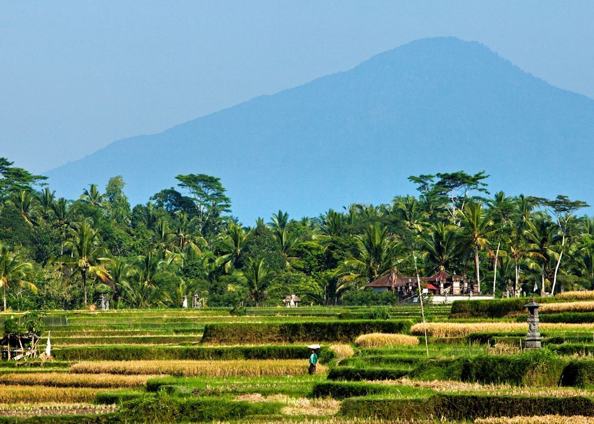 Paddy fields and Mount Agung, Bali, Indonesia Paddy fields and Mount Agung, Bali, Indonesia