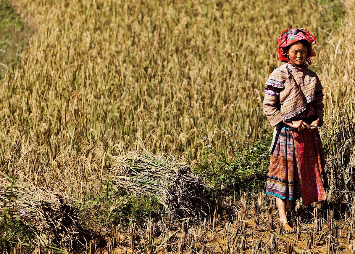 Ha Giang, Vietnam Ha Giang, Vietnam