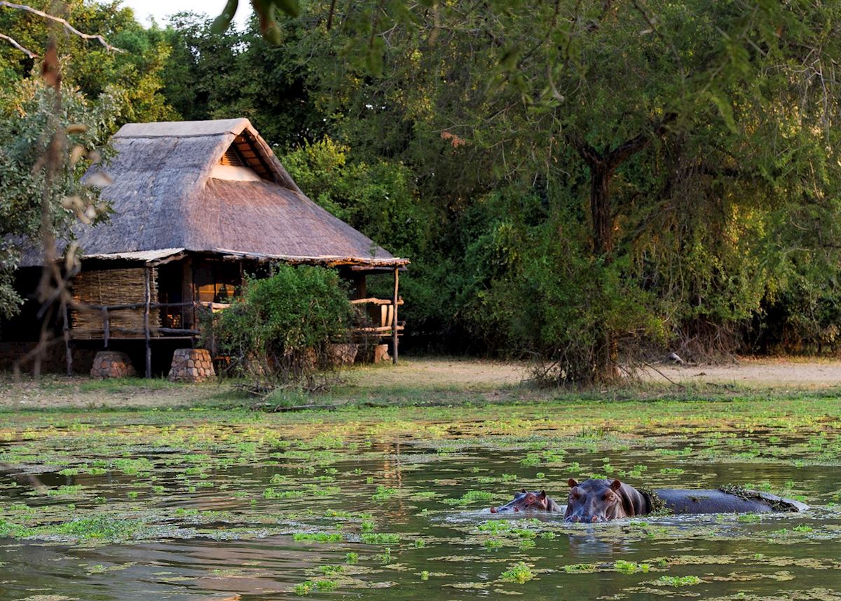 Mfuwe Lodge, South Luangwa National Park Mfuwe Lodge, South Luangwa National Park