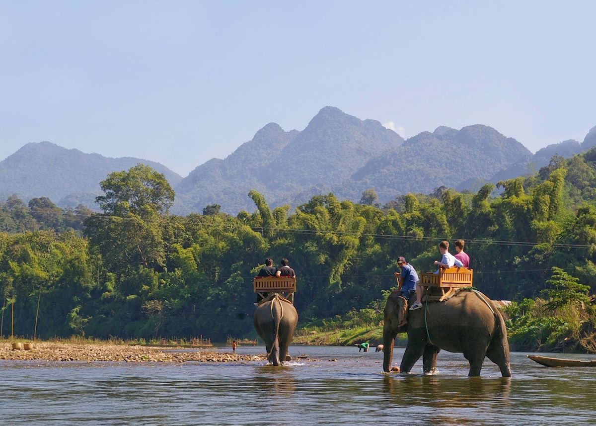 Elephant Riding in Luang Prabang Elephant Riding in Luang Prabang
