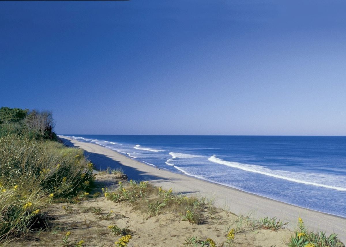 Cape Cod National Seashore Cape Cod National Seashore