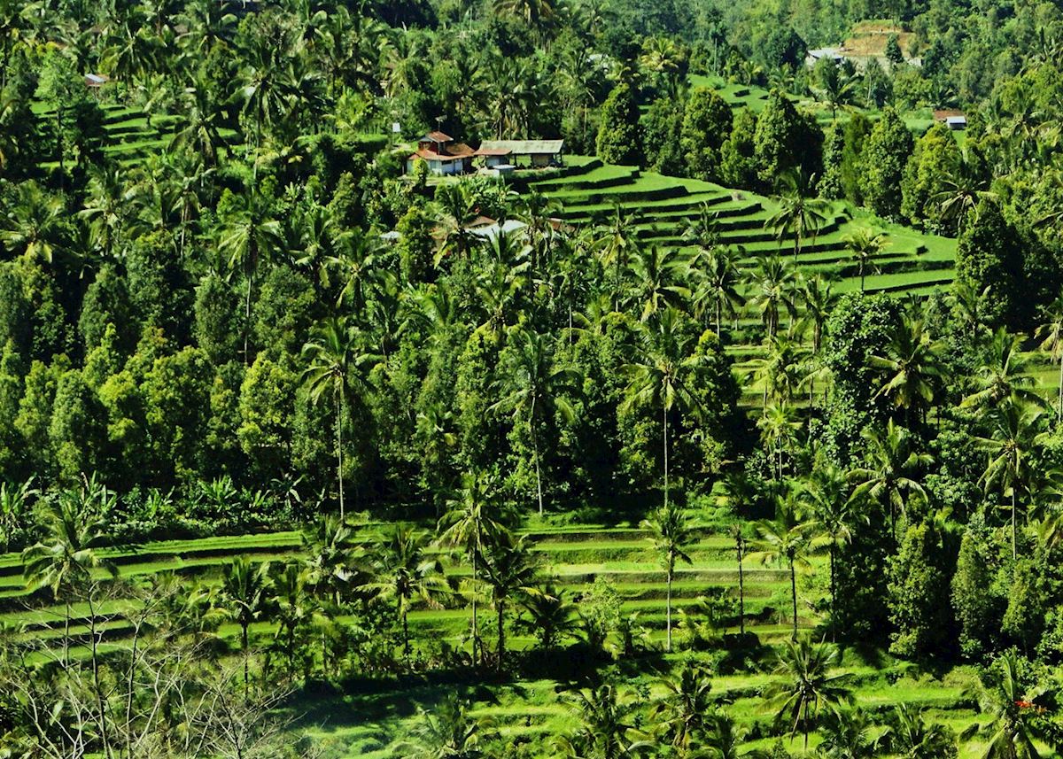Munduk, Indonesia Munduk, Indonesia