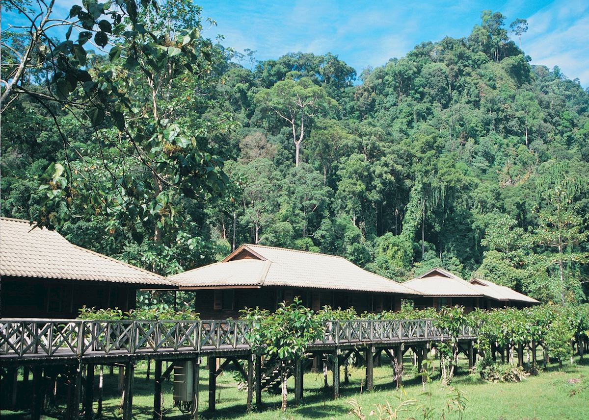 Jungle view chalets, Borneo Rainforest Lodge, Danum Valley Jungle view chalets, Borneo Rainforest Lodge, Danum Valley