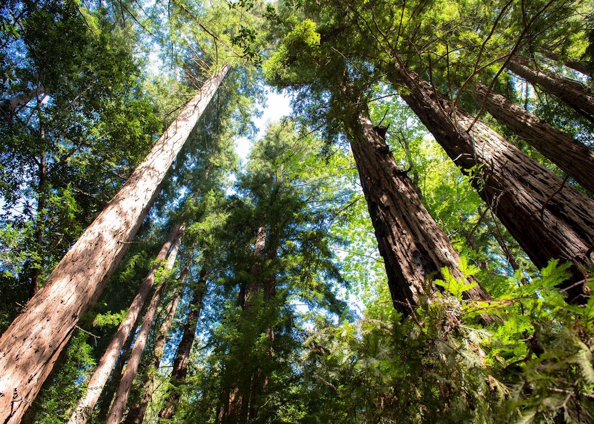 Big Sur,The USA Big Sur,The USA