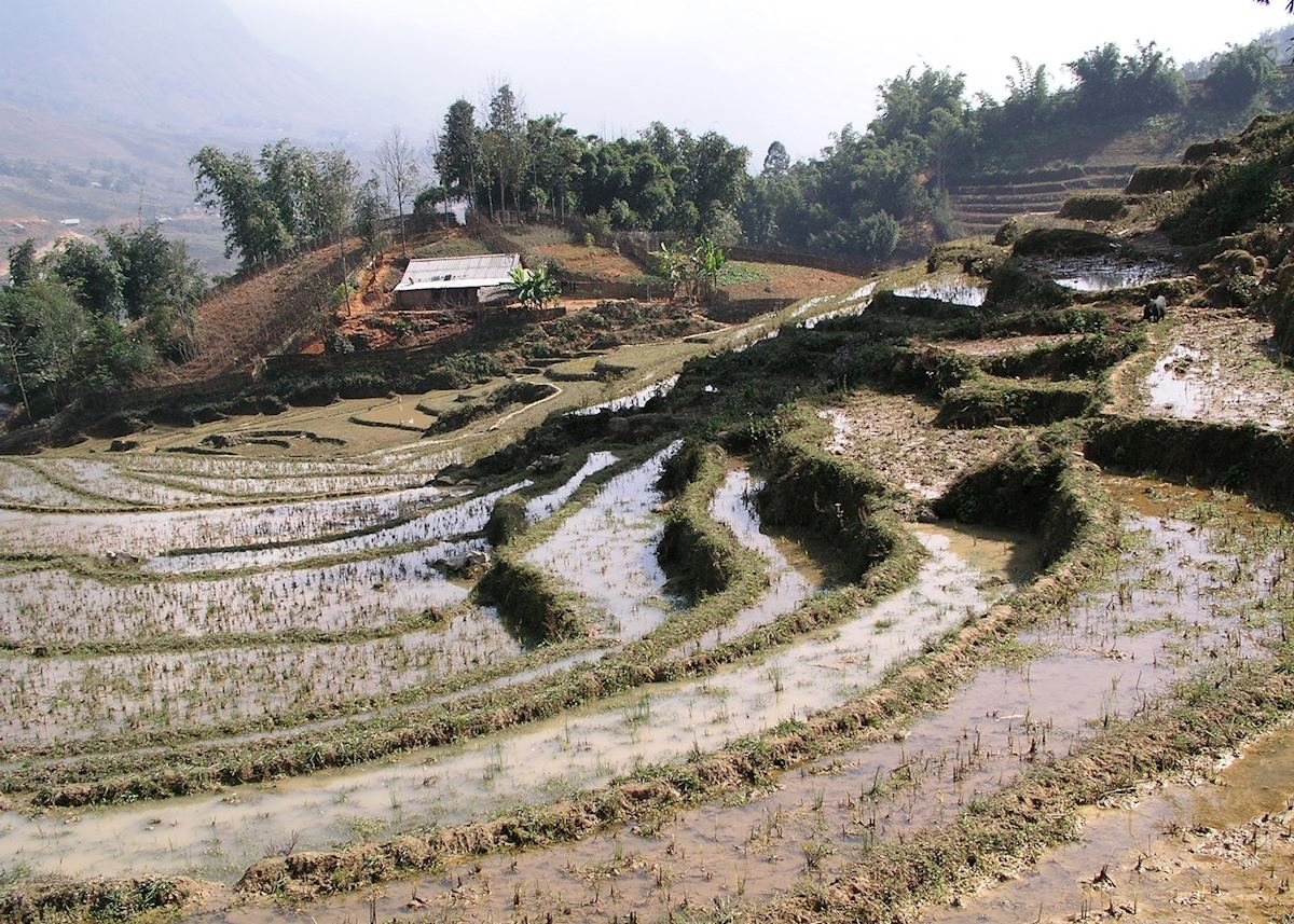 Sapa, Vietnam Sapa, Vietnam