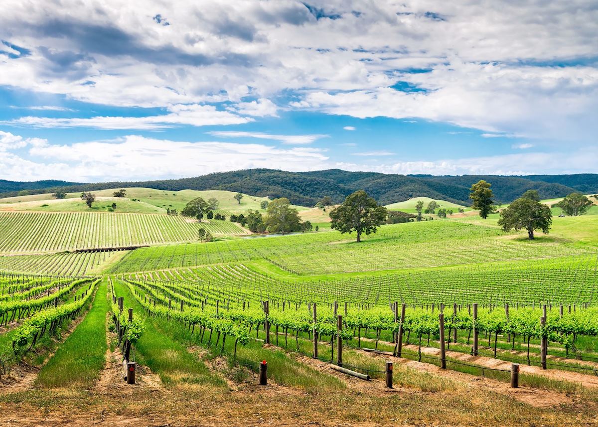 Barossa Valley, Barossa Valley Barossa Valley, Barossa Valley