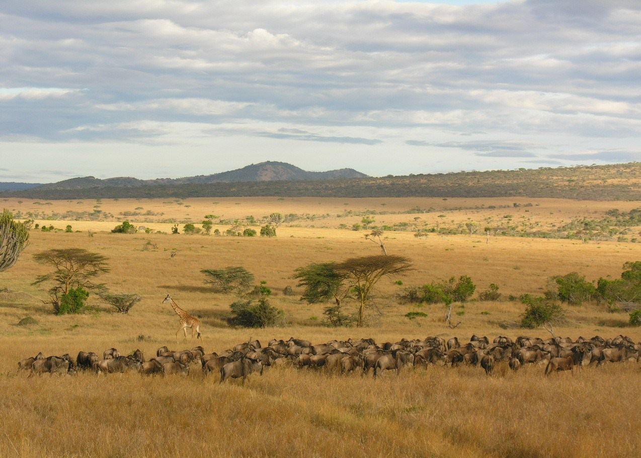 Visit Northern Tanzania on a trip to Tanzania | Audley Travel UK