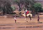 Camel safari, Samburu Intrepids